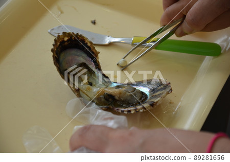 去珍珠體驗 89281656