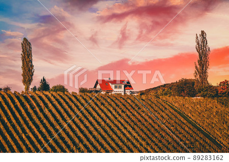 Wine road, Maribor, Slovenia Wine road, Maribor, Slovenia 89283162