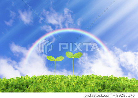 Futaba in the blue sky and rainbow 89283176