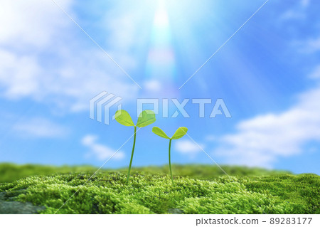 Futaba in the blue sky and rainbow 89283177