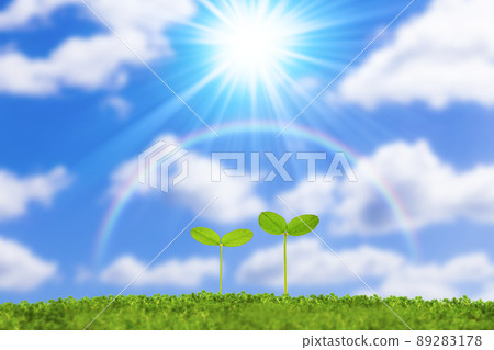 藍天和彩虹中的雙葉 89283178