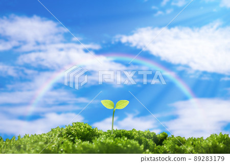 藍天和彩虹中的雙葉 89283179