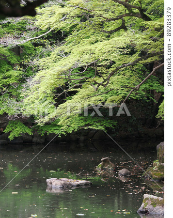 Okayama Korakuen Early Morning Fresh Green Okayama Korakuen Early Morning Fresh Green 89283379