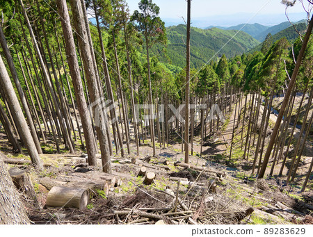 從海拔約 800m 的地方，您可以俯瞰 477 號國道的急彎，眺望京都市。 89283629