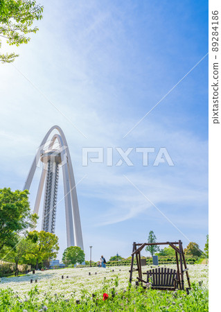 138 Tower Park, Nemophila in full bloom <Ichinomiya City, Aichi Prefecture> 89284186