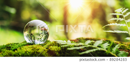globe glass on grass with sunshine. environment concept 89284283