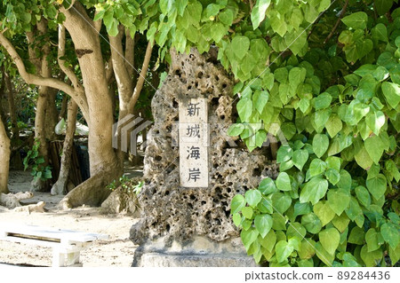 Aragusuku海灘入口處的岩石標誌 Aragusuku海灘入口處的岩石標誌 89284436