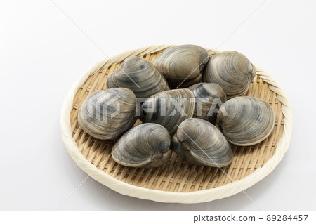 濾鍋上的硬蛤蜊 89284457