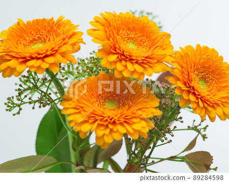 Four orange Gerbera flowers Four orange Gerbera flowers 89284598