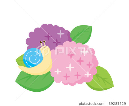蝸牛和繡球花插圖 89285529