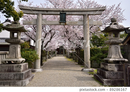 一座神社的第一牌坊 一座神社的第一牌坊 89286167