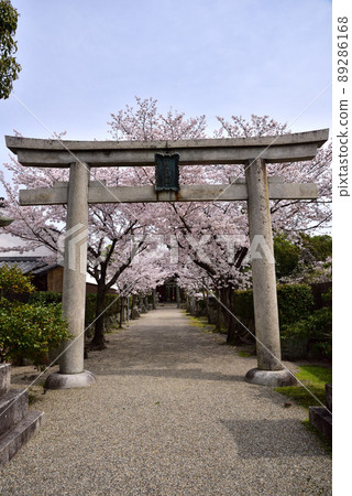 一座神社的第一牌坊 一座神社的第一牌坊 89286168