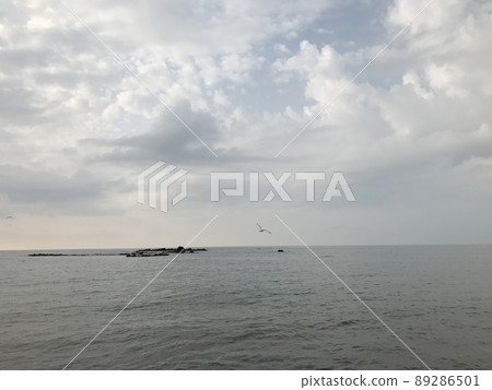 海鷗飛過大海③ 89286501