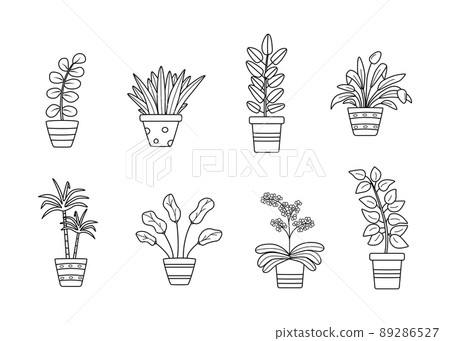 Potted flowers, vector illustration set contour doodle icons, ficus, dracaena, orchid 89286527