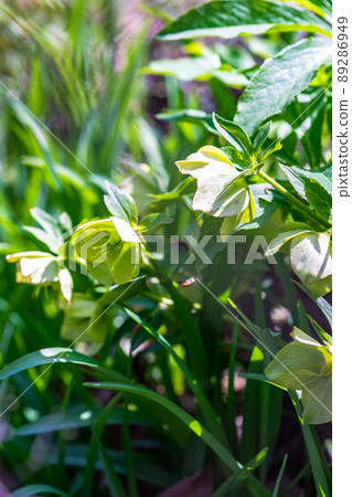 Spring floral concept 89286949