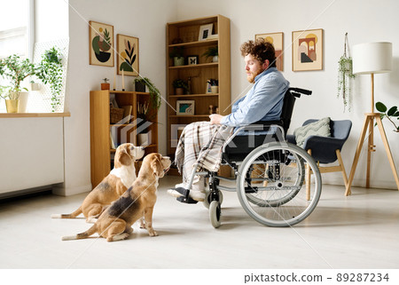 Young bearded man sitting in wheelchair opposite his dogs and talking to them in living room 89287234