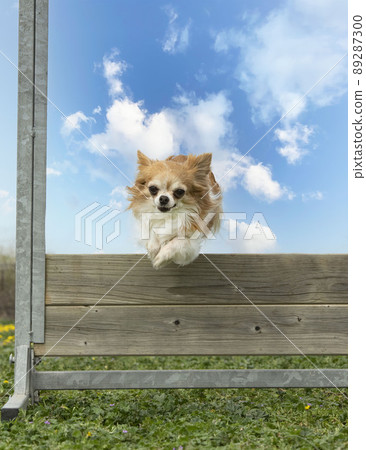 training of jumping 89287300