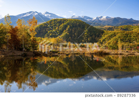 Nagano Prefecture Norikura Kogen Maime no Ike Autumn Leaves 89287336