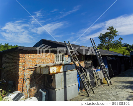 Sunny view of the Wang Family Historic Residence 89288301