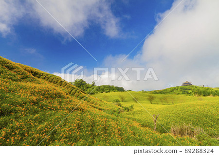 Sunny view of the orange daylily blossom over the Sixty Stone Mountain 89288324