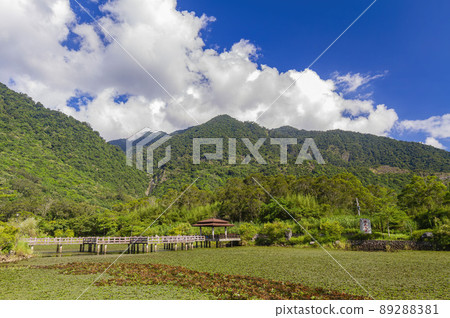 Sunny view of the Luoshan Big Pond 89288381