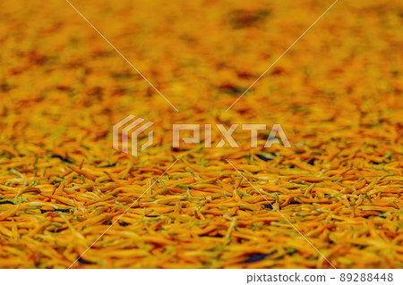Morning view of the orange daylilies drying on ground Morning view of the orange daylilies drying on ground 89288448