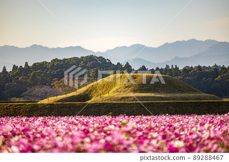 宮崎齊都原古墳和秋天的櫻花 宮崎齊都原古墳和秋天的櫻花 89288467