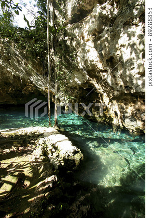 A popular mysterious and large cenote in Tulum, Mexico A popular mysterious and large cenote in Tulum, Mexico 89288853