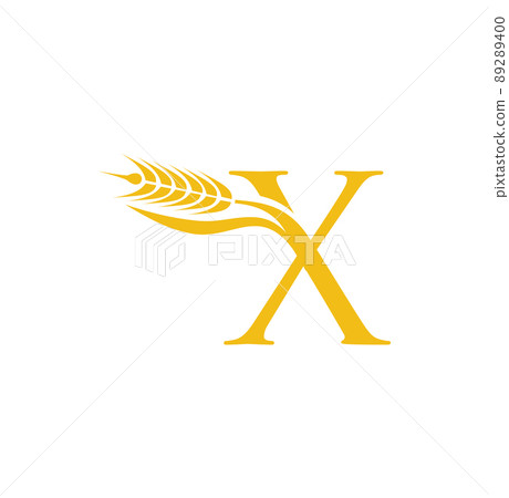 Wheat Grain Initial Letter X 89289400