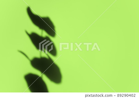 Creative copyspace with shadows on a shiny soft green wall. Top view of leaves shadows on the pink background. Flat lay style. Minimal summer concept with tree leaf Creative copyspace with shadows on a shiny soft green wall. Top view of leaves shadows on the pink background. Flat lay style. Minimal summer concept with tree leaf 89290402
