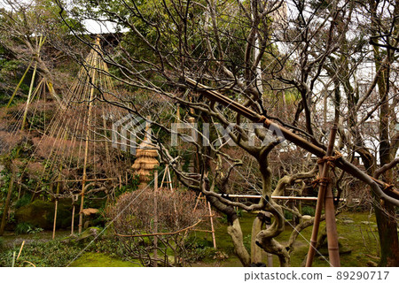 寺島倉戶住宅花園 89290717