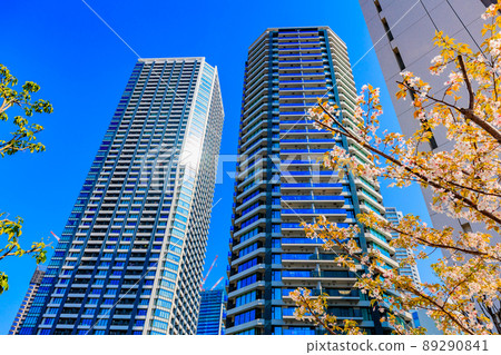 Cityscape of Harumi, Chuo-ku, Tokyo Tower apartment at Harumi Pier Cityscape of Harumi, Chuo-ku, Tokyo Tower apartment at Harumi Pier 89290841