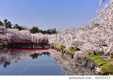 弘前公園的櫻花 弘前公園的櫻花 89291013