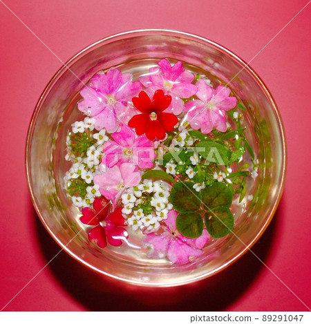 Spring flowers floating in the glass Spring flowers floating in the glass 89291047