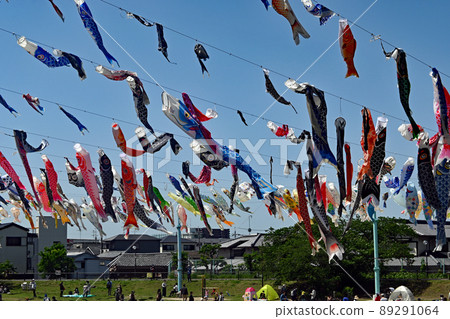 Takatsuki City Akutagawa Carp Streamer Festa Takatsuki City Akutagawa Carp Streamer Festa 89291064