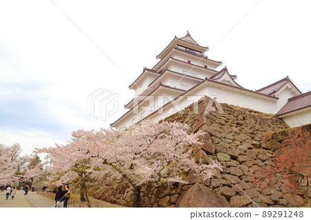 櫻花盛開的同時,鶴城的天守閣也美輪美奐。 櫻花盛開的同時,鶴城的天守閣也美輪美奐。 89291248