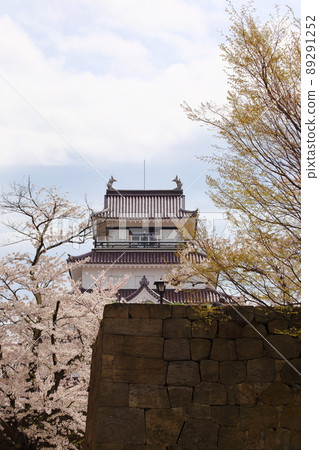 櫻花盛開的同時,鶴城的天守閣也美輪美奐。 櫻花盛開的同時,鶴城的天守閣也美輪美奐。 89291252
