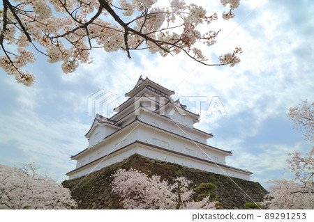 櫻花盛開的同時，鶴城的天守閣也美輪美奐。 89291253