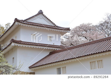 櫻花盛開的同時，鶴城的天守閣也美輪美奐。 89291264