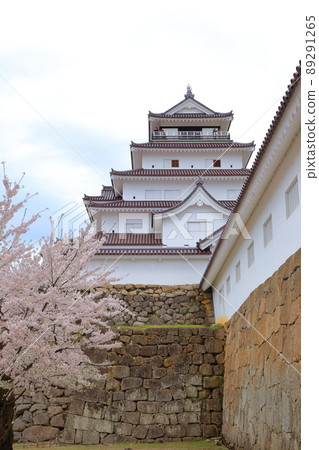 櫻花盛開的同時，鶴城的天守閣也美輪美奐。 89291265
