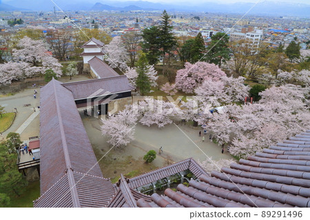 從鶴城天守閣的頂層可以看到盛開的櫻花。 從鶴城天守閣的頂層可以看到盛開的櫻花。 89291496