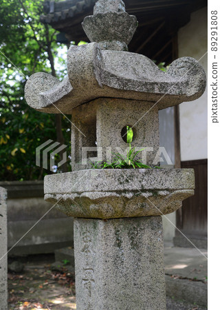 Stone lanterns at Ikeda Shrine-1 Stone lanterns at Ikeda Shrine-1 89291808