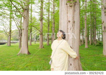 A woman who has a forest bath 89292420