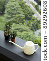 Watering can and houseplants decoration near window 89292608