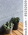 Pots of houseplants on wooden table, close up 89292609