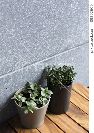 Pots of houseplants on wooden table, close up Pots of houseplants on wooden table, close up 89292609