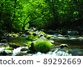 在初夏的山間溪流 89292669