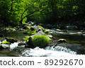 在初夏的山間溪流 89292670