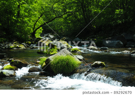 在初夏的山間溪流 在初夏的山間溪流 89292670