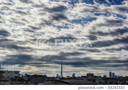 Scenery with sky tree Scenery with sky tree 89292883